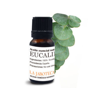 Aceite de Eucalipto Basati: Beneficios, Usos y Cómo Utilizarlo