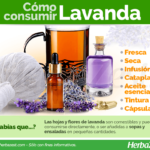 Beneficios de la Lavanda para el Cuidado Corporal: Encuentra tu Tienda Botánica en Ensenada