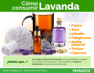 Beneficios de la Lavanda para el Cuidado Corporal: Encuentra tu Tienda Botánica en Ensenada