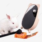 Maquillaje de conejo de Alicia: encanto y fantasía. Sé el protagonista del País de las Maravillas.