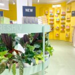 Belleza cosméticos al por mayor en Once y obtén los mejores precios