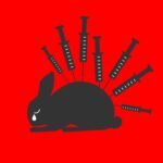 Encuentra maquillaje libre de crueldad animal y cuida de tu Belleza