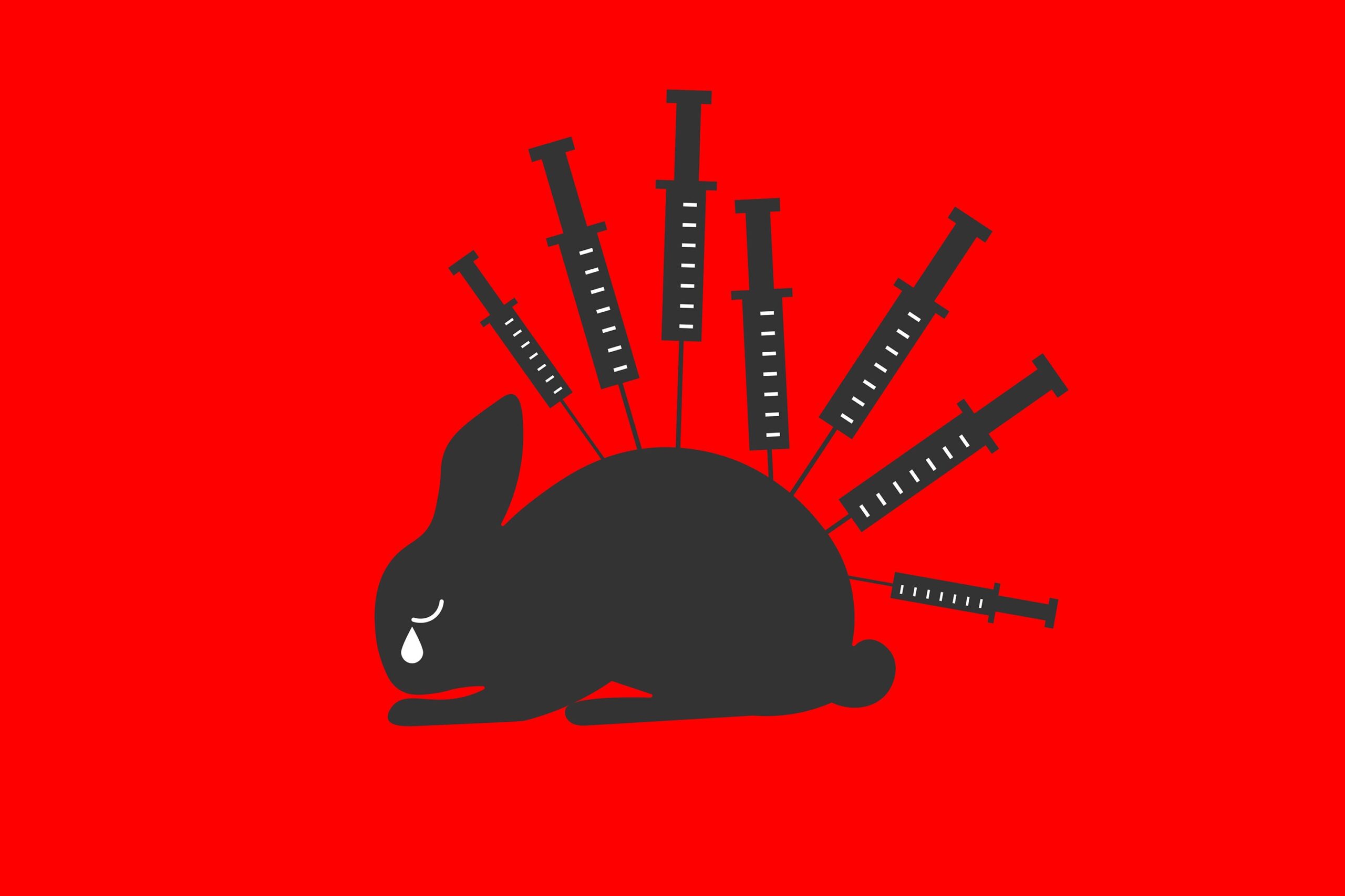 Encuentra maquillaje libre de crueldad animal y cuida de tu Belleza