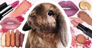 Descubre los beneficios de maquillaje cruelty-free | ¡Sin pruebas en animales!