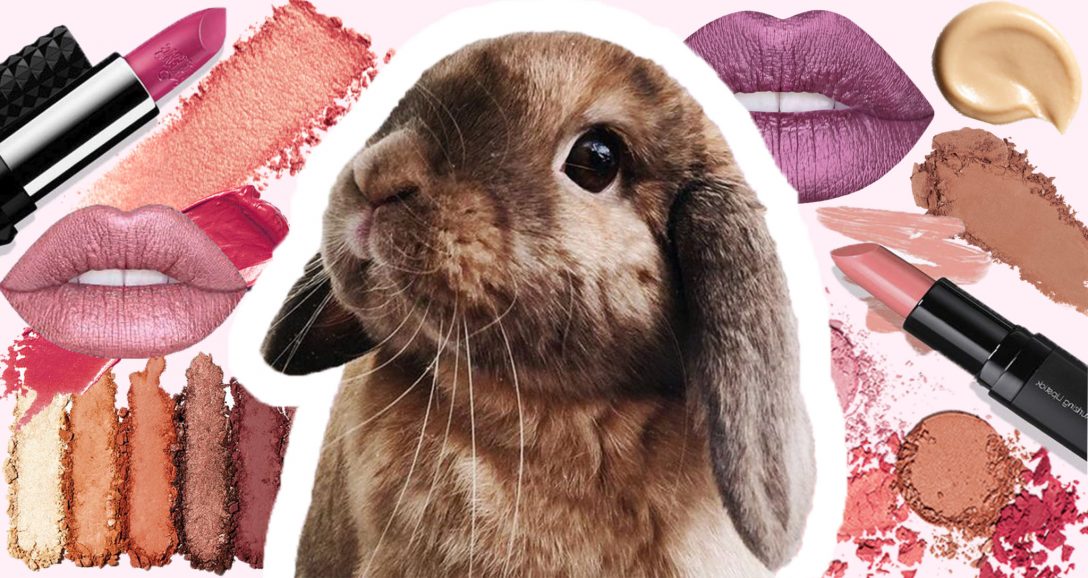 Descubre los beneficios de maquillaje cruelty-free | ¡Sin pruebas en animales!