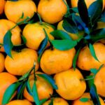Cuidado natural para tu piel con tonos verdes