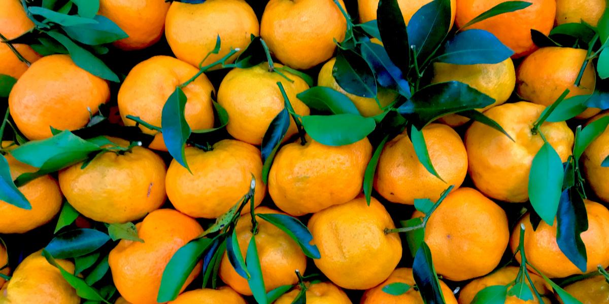 Cuidado natural para tu piel con tonos verdes