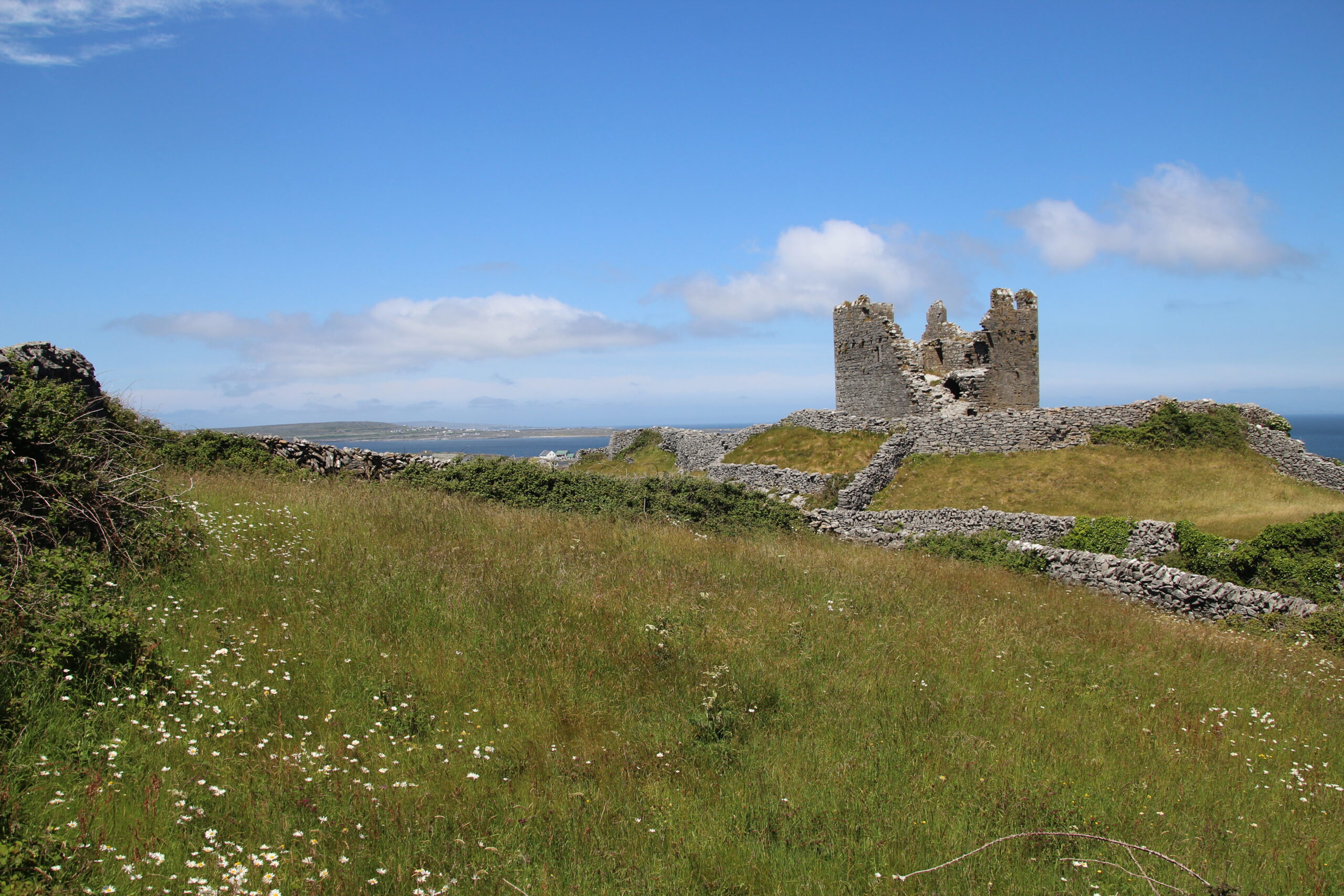 Descubre la magia de Innisfree skincare en Irlanda