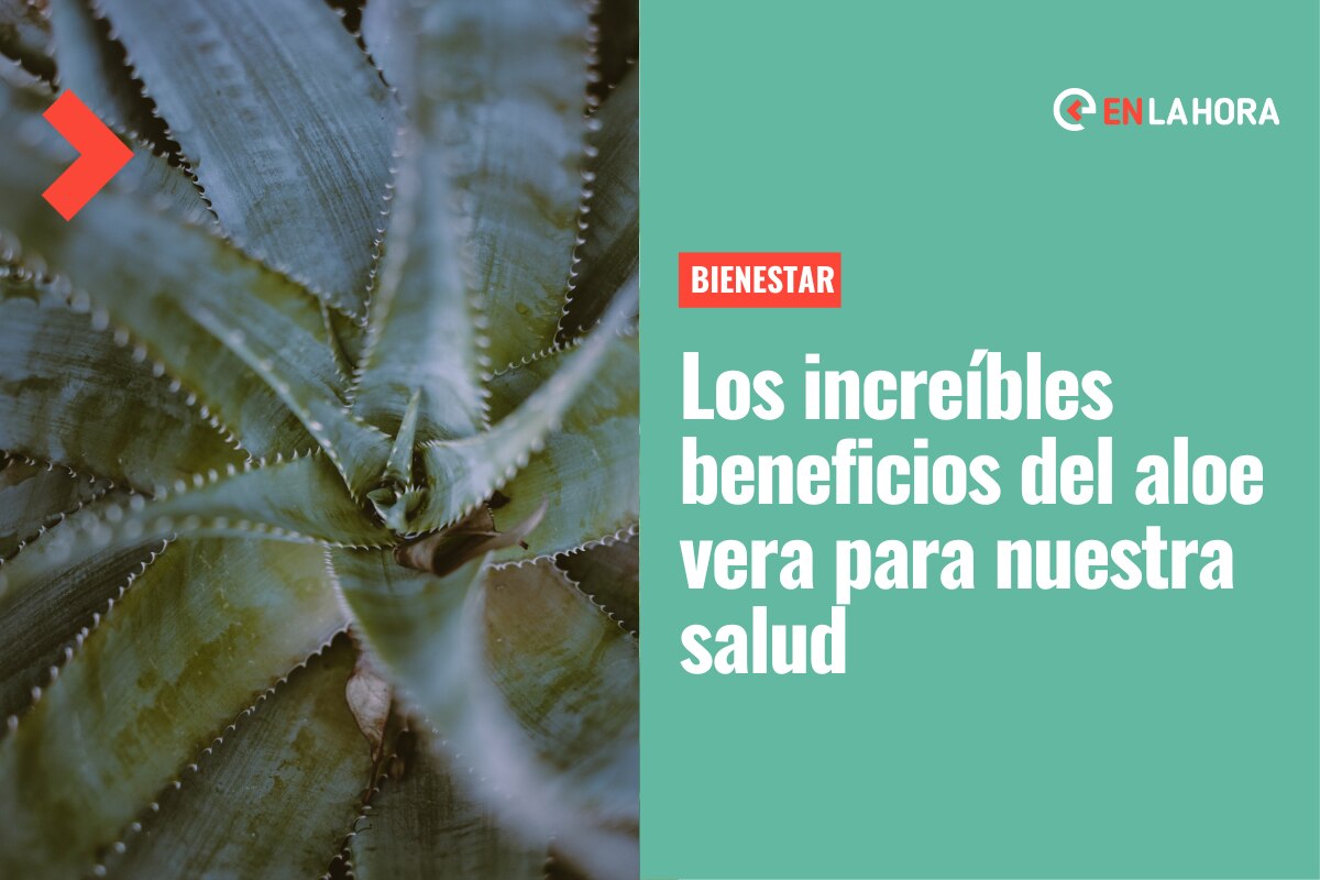 Descubre la magia del aloe vera en tu piel