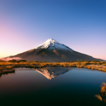 Descubre la mejor piel natural en NZ