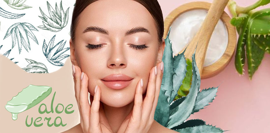 Descubre los beneficios del aloe vera en tu piel