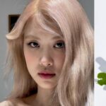 Descubre los secretos del skincare coreano en Perú