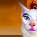 El mejor maquillaje para tu disfraz de gato: ¡sorprende a todos!