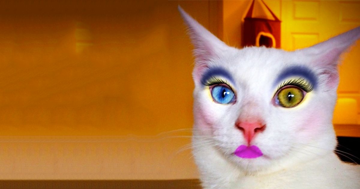 El mejor maquillaje para tu disfraz de gato: ¡sorprende a todos!