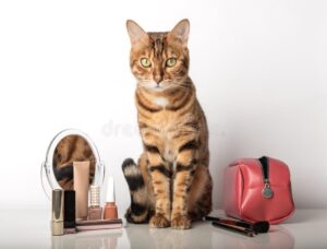 Descubre cómo hacer un adorable maquillaje de gato para niñas