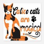 Descubre el mágico maquillaje del Gato de Alicia en el país de las Maravillas