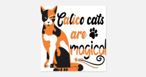 Descubre el mágico maquillaje del Gato de Alicia en el país de las Maravillas