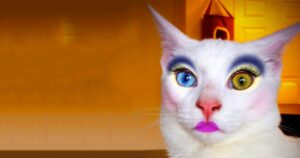 Encuentra los mejores maquillajes para gatos para niñas | Transforma a tu niña en un adorable gatito con nuestros productos de calidad.