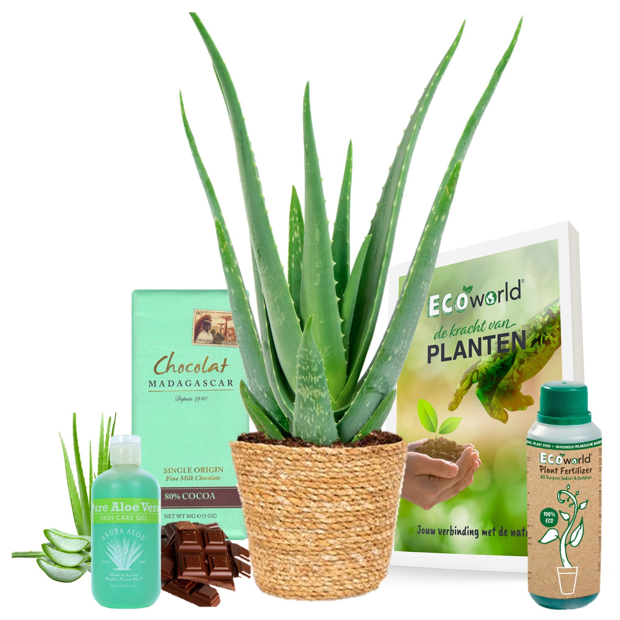 Gel de aloe vera para una piel radiante y saludable
