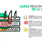 Guía completa de cuidado de la piel en PDF: ¡descarga ahora!