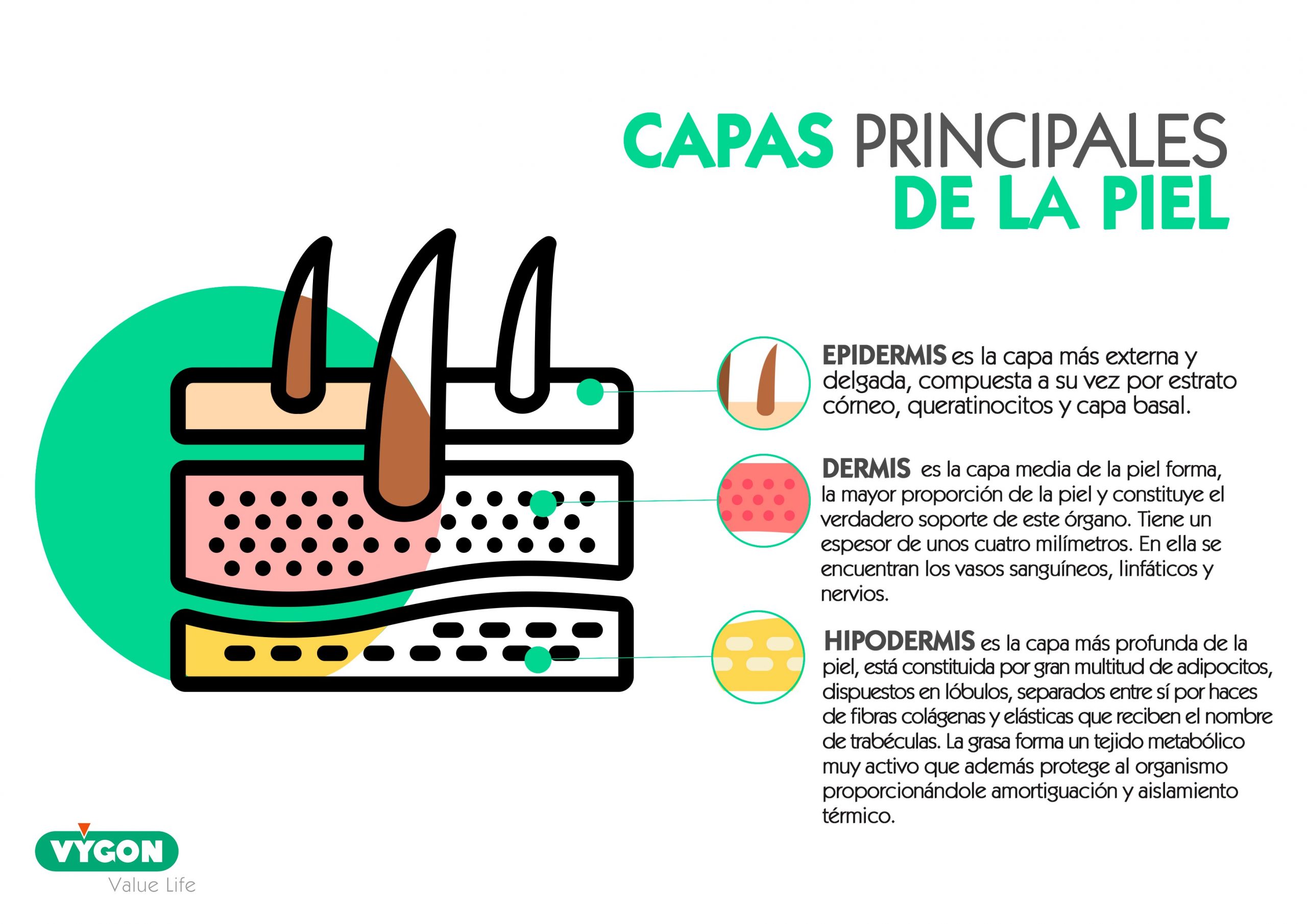 Guía completa de cuidado de la piel en PDF: ¡descarga ahora!