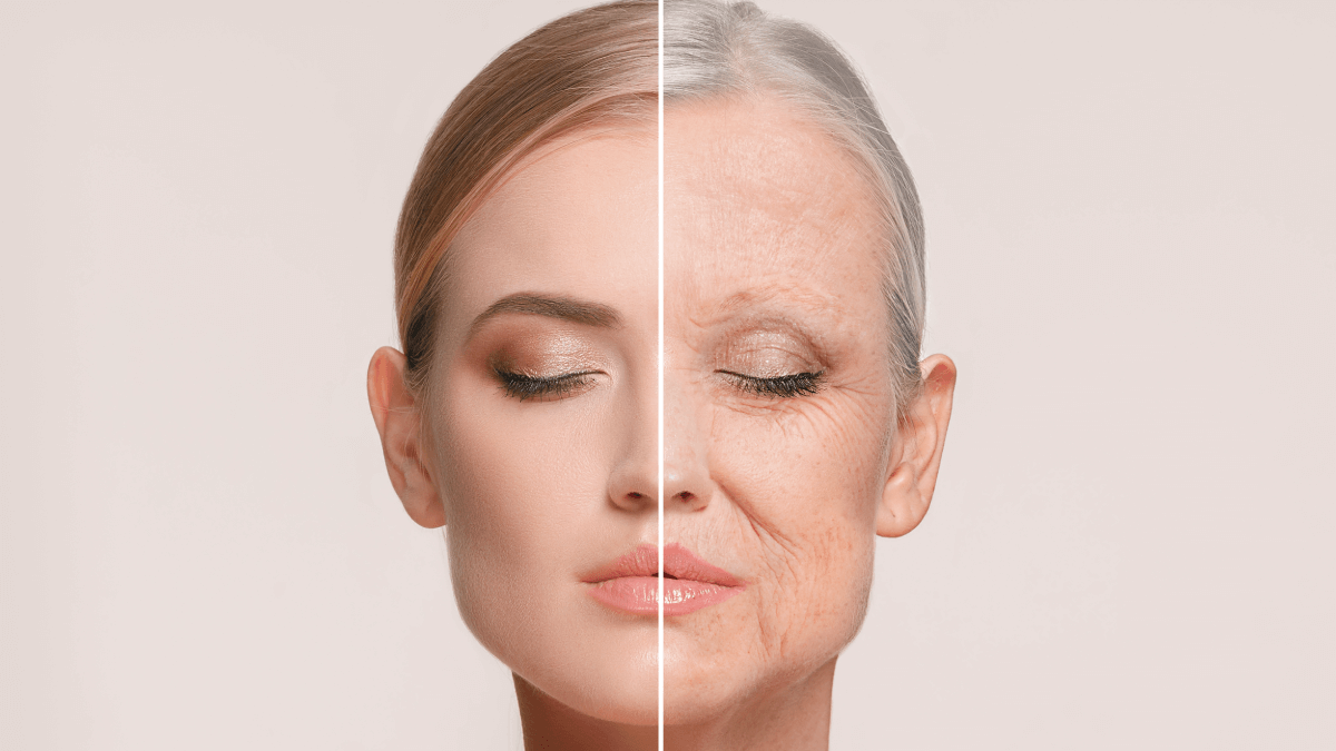 Guía de ingredientes para el cuidado de la piel: ¡conoce los secretos!