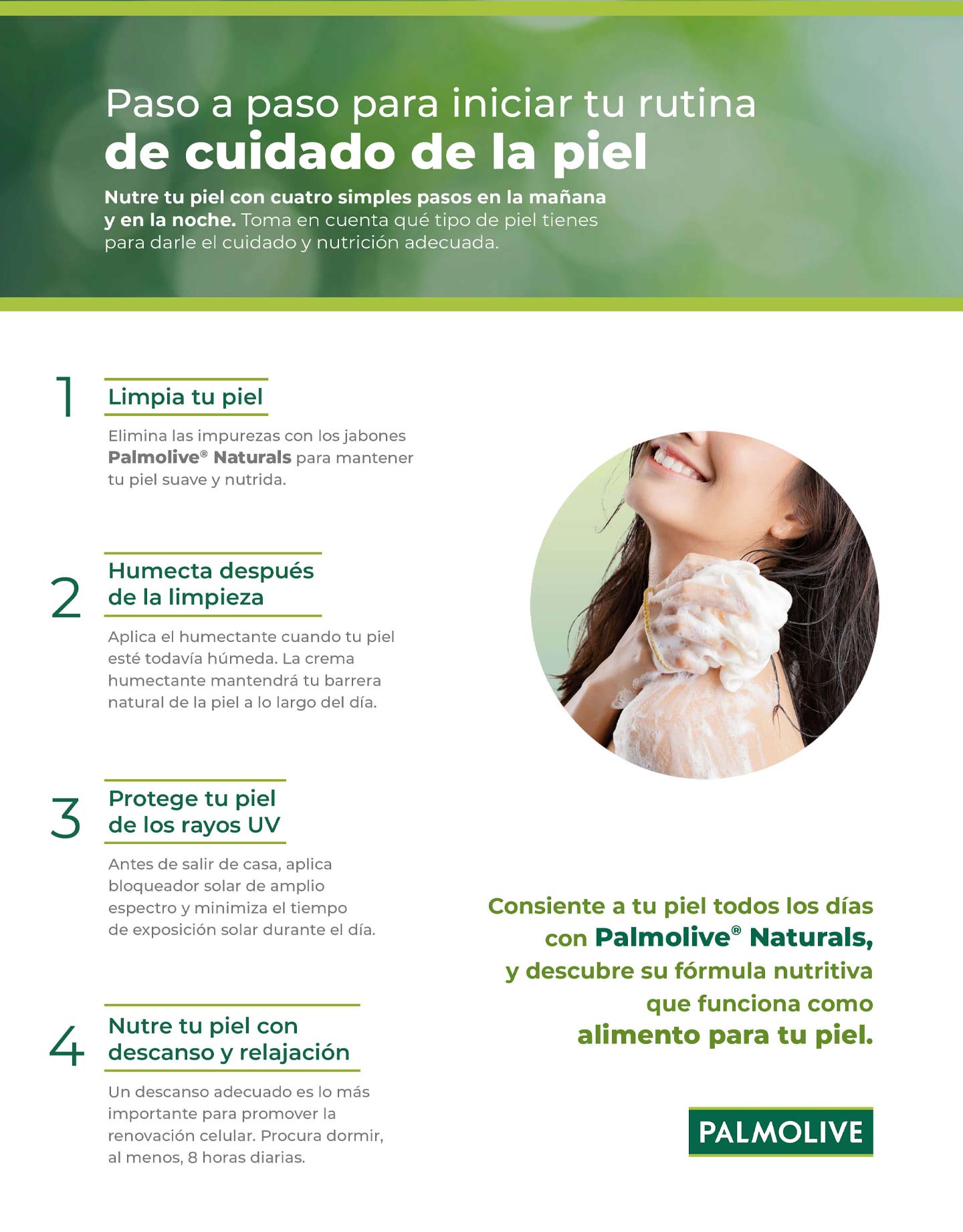 Guía de ingredientes para el cuidado de la piel: ¡descubre lo que necesitas saber!