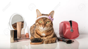 Descubre el divertido maquillaje de gato para niños y crea looks adorables