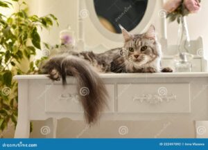 Divertido maquillaje de gato para niños: ¡transforma su rostro en un adorable felino!