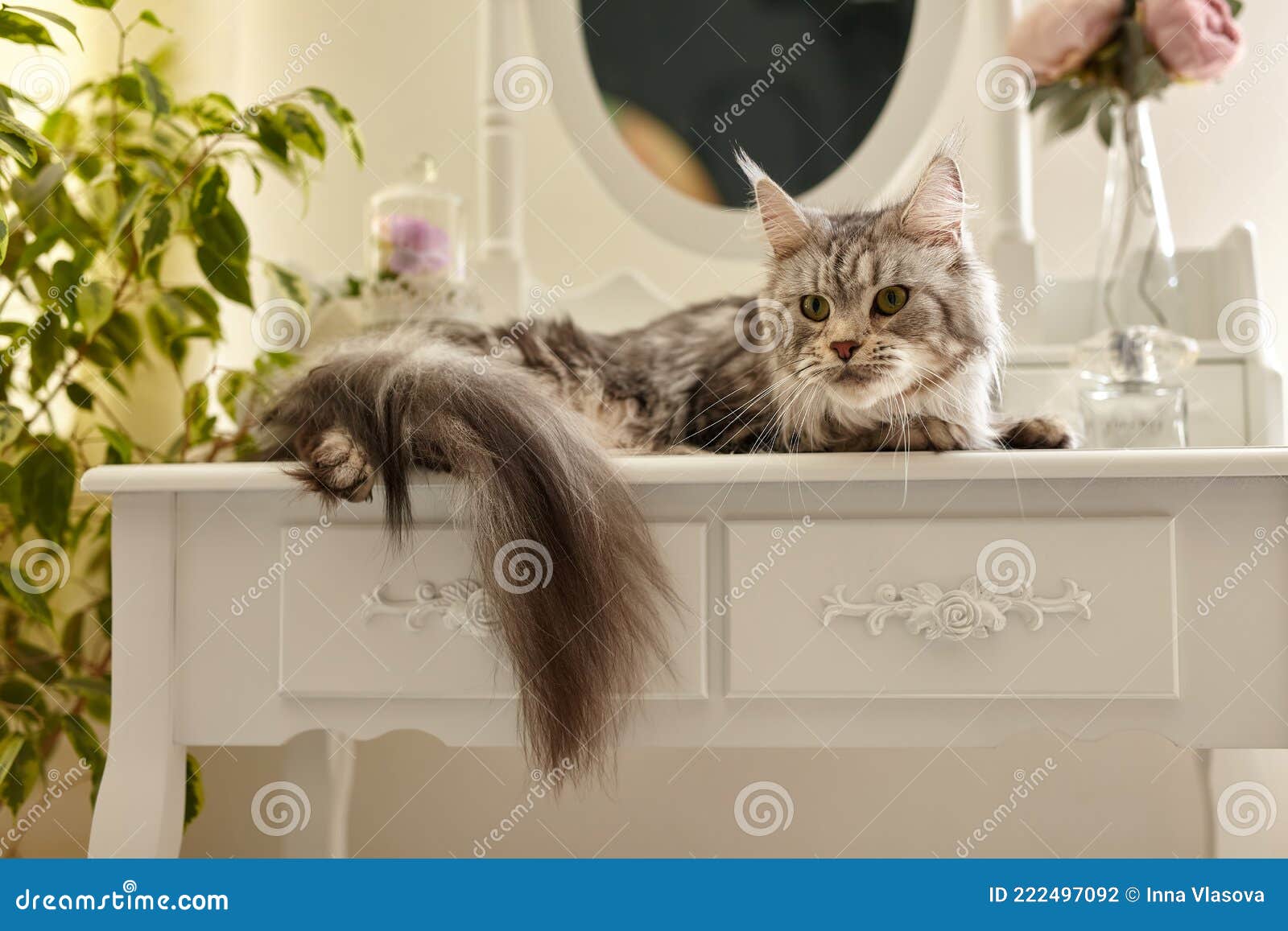 Divertido maquillaje de gato para niños: ¡transforma su rostro en un adorable felino!