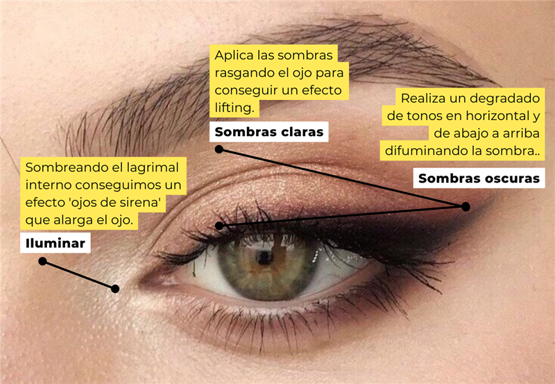 Descubre cómo lograr un maquillaje natural de noche con estos simples pasos