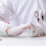 Marcas de cuidado de piel libres de crueldad animal