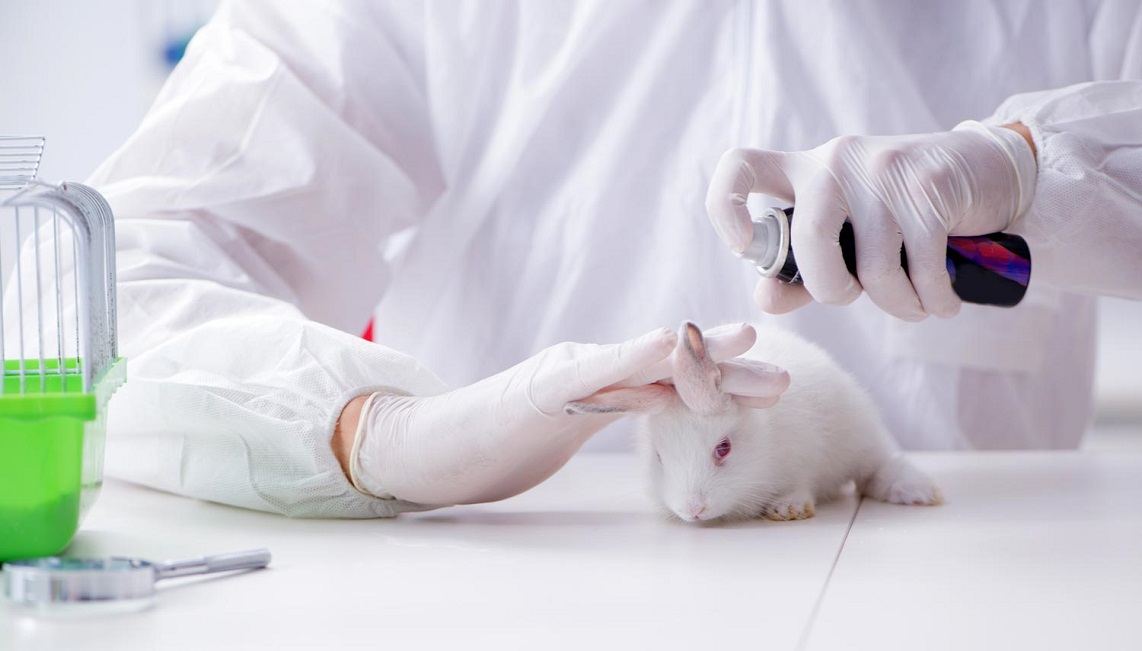 Marcas de cuidado de piel libres de crueldad animal