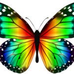Descubre el encanto del maquillaje de mariposa: tutorial y consejos
