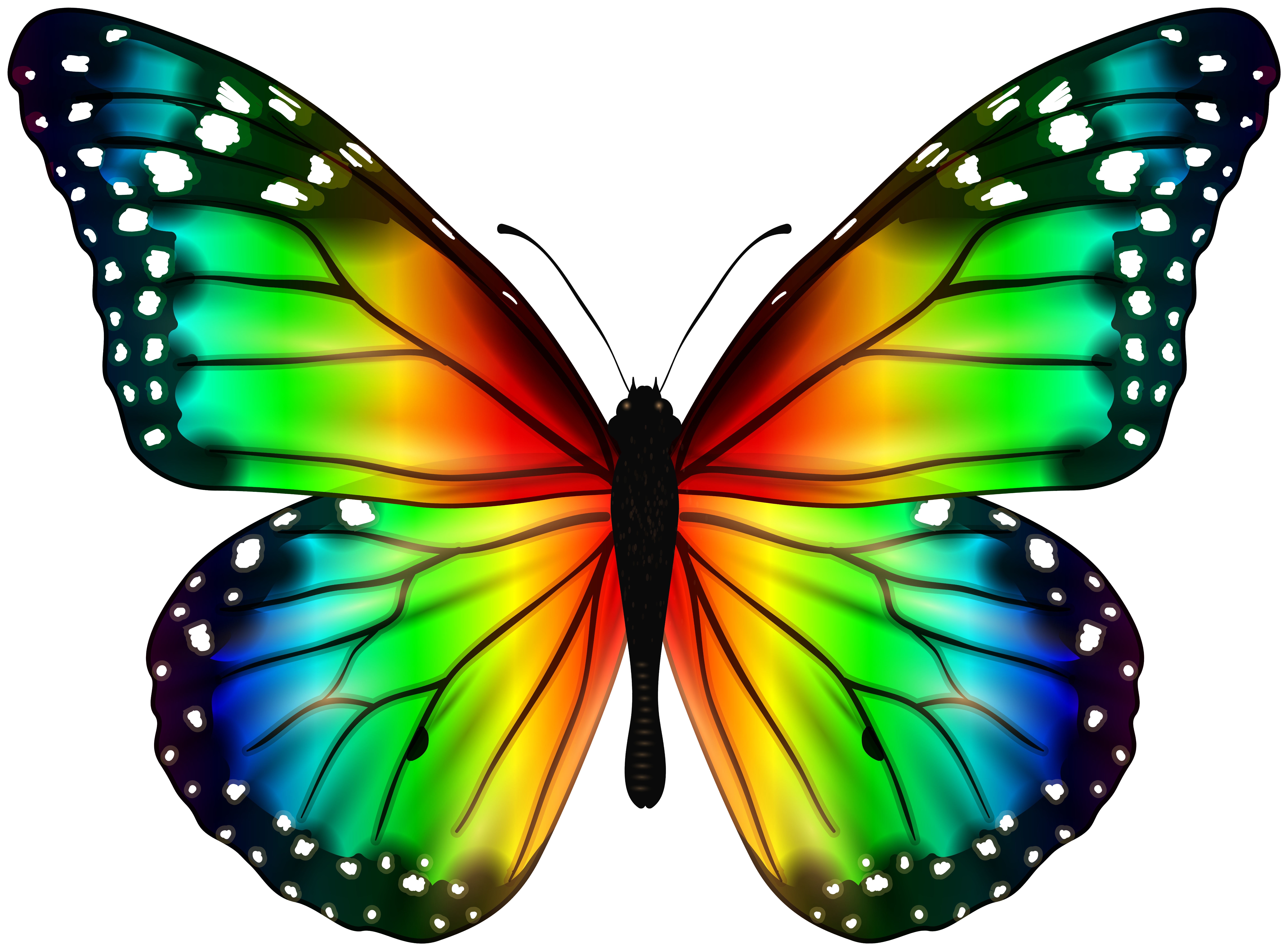 Descubre el encanto del maquillaje de mariposa: tutorial y consejos