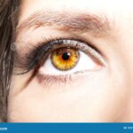 Resalta tus ojos con el encanto del maquillaje sombra verde.