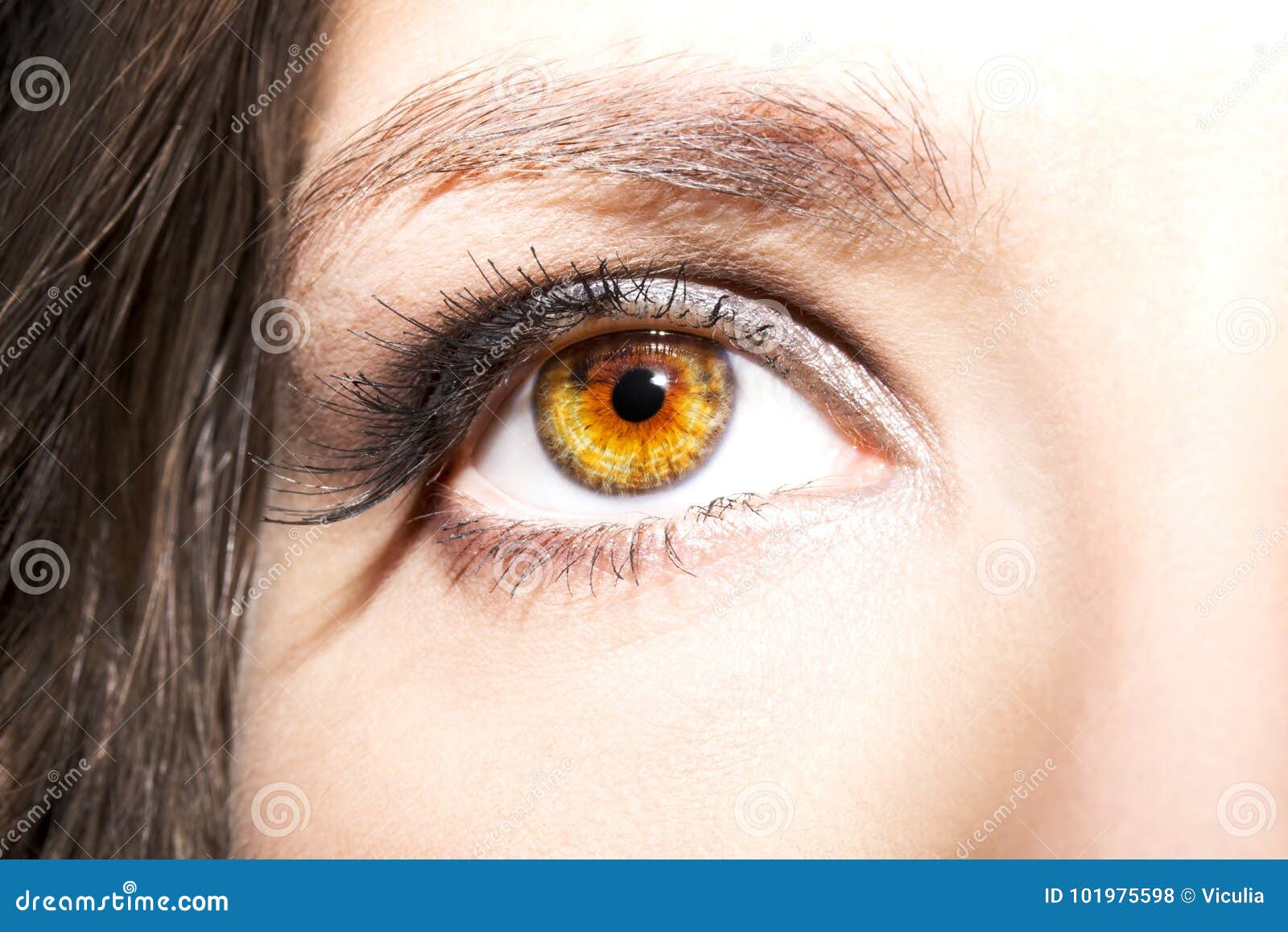 Resalta tus ojos con el encanto del maquillaje sombra verde.