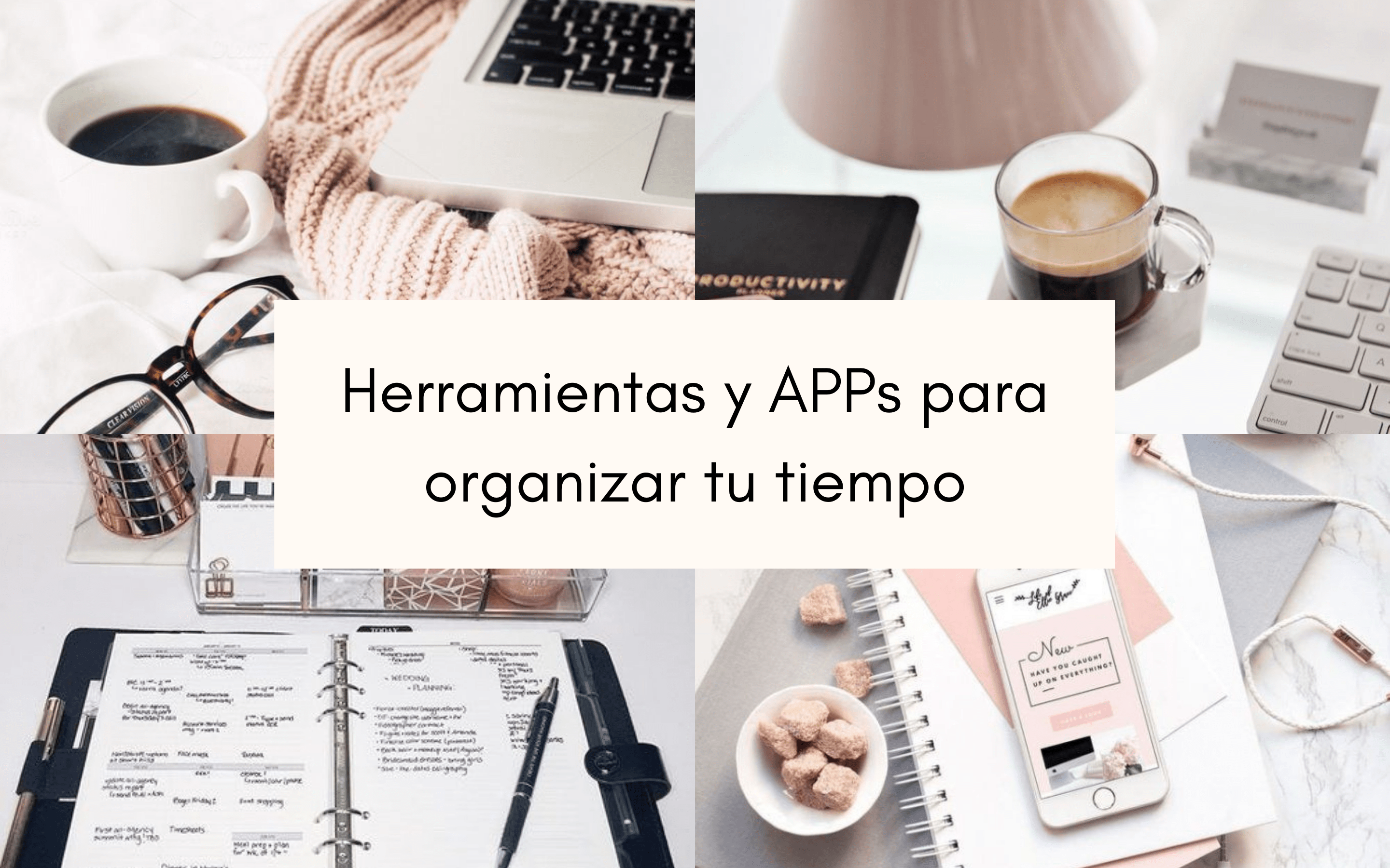 Ordena tu rutina de skincare con nuestro organizador