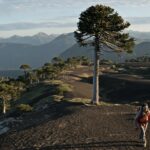 Descubre el encanto del maquillaje mapuche y luce radiante
