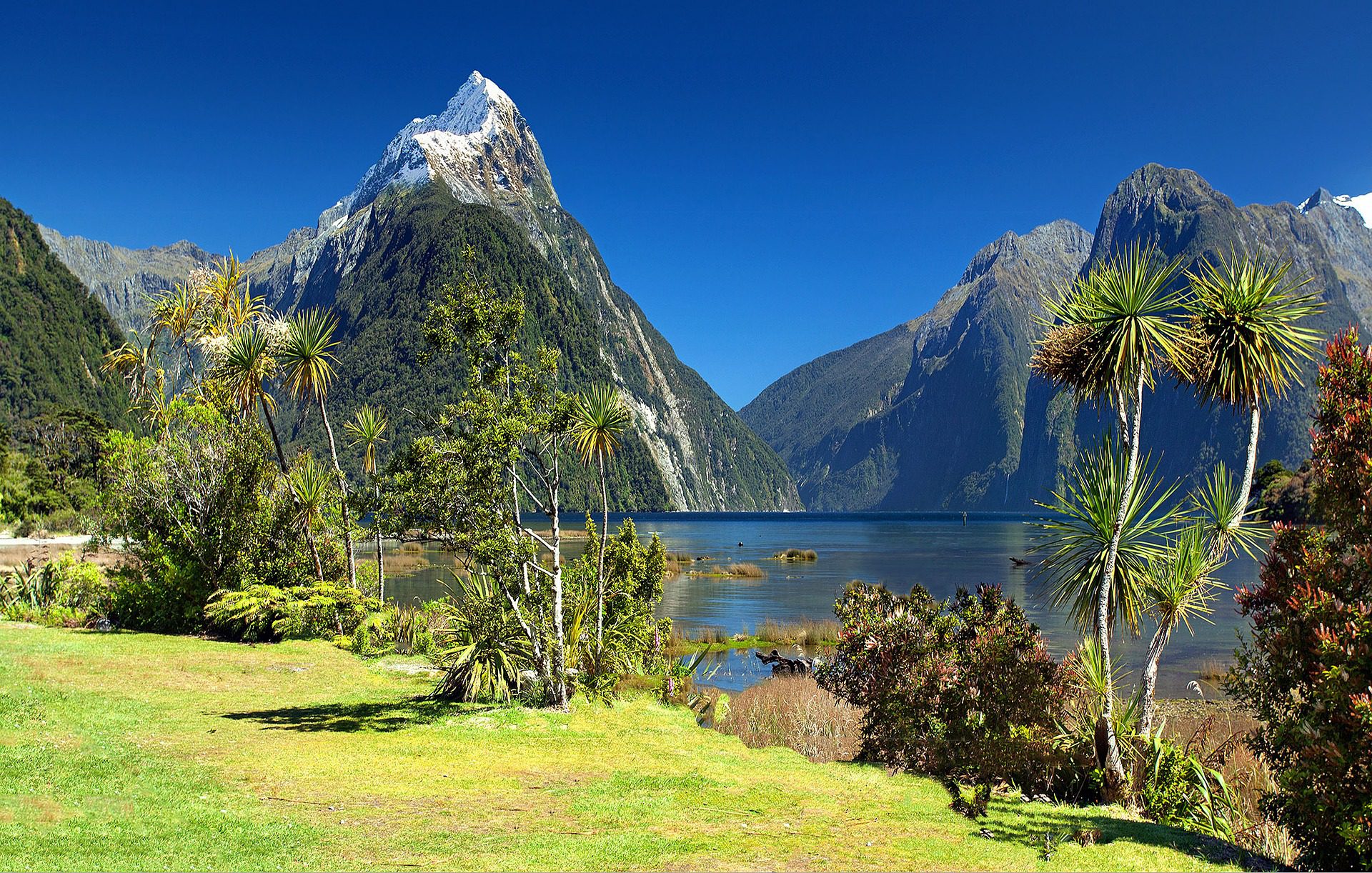 Descubre la Belleza natural con nuestro maquillaje en Nueva Zelanda
