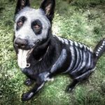 Descubre los secretos del maquillaje para perros: Tips y consejos