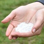 Descubre los encantos del polvo de hadas para un maquillaje mágico