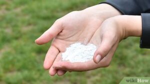 Descubre los encantos del polvo de hadas para un maquillaje mágico