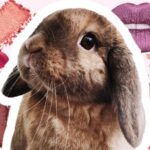 Descubre el maquillaje MAC cruelty free y únete a la Belleza consciente.