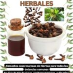 Productos de Aromaterapia: Guía Definitiva para el Bienestar