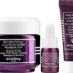 Descubre los mejores productos de Sisley para lucir un maquillaje impecable – Sisley Makeup: Belleza y calidad en tus manos