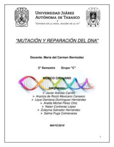 Repara tu piel con enzimas de reparación de ADN
