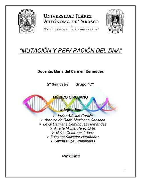 Repara tu piel con enzimas de reparación de ADN