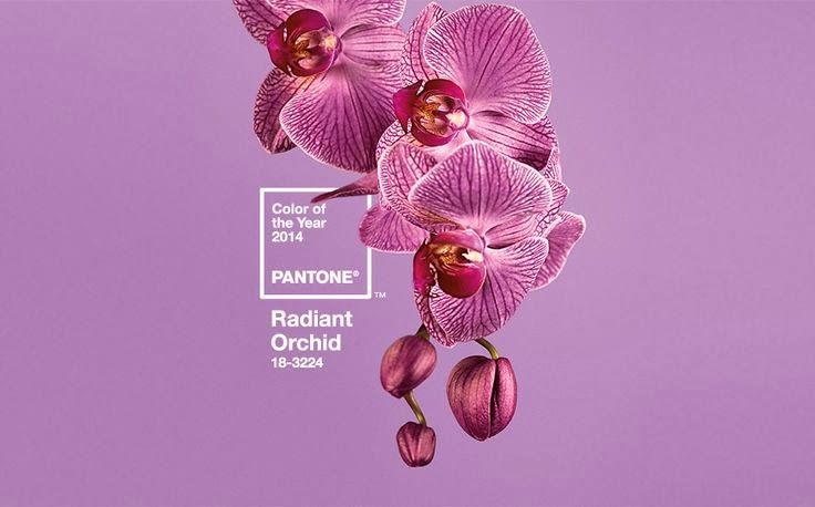 Descubre los tonos rosas perfectos para un maquillaje natural y radiante.