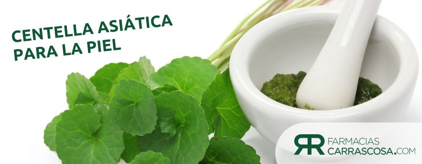 Transforma tu piel con Centella Asiática: Skincare natural